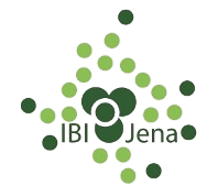 IBI Jena – Institut für Bildung und Integration